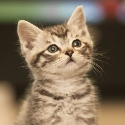 no2retardia's profile picture. 