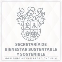 Secretaría de Bienestar Sustentable y Sostenible (@bienestar_spch) 's Twitter Profile Photo Secretaría de Bienestar Sustentable y Sostenible (@bienestar_spch) 's Twitter Profile Photo