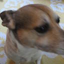 Meghan Bishop - @meghan_e_bishop - Twitter