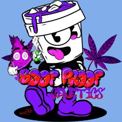 Boof Proof Genetics© is a craft Cannabis breeder. A wizard casting my black magic into the Cannabis game for 23+ years. A former POW with PTSD. EST. 2001 OG