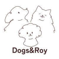 Dogs&Roy(@Dogs_and_Roy) 's Twitter Profile Photo