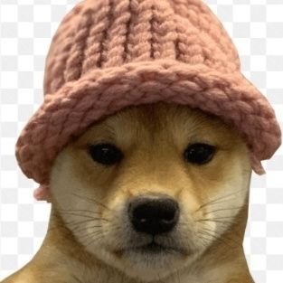 J0EBuckets's profile picture. 