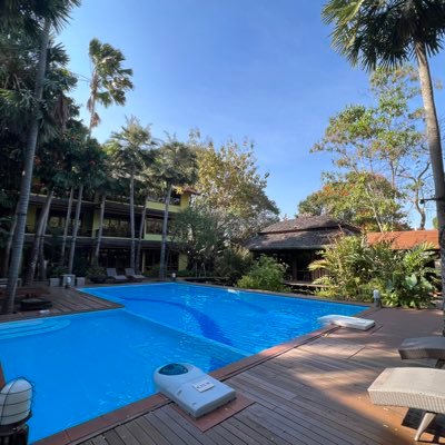 1660125839gy's profile picture. 专业投资区块链赛道