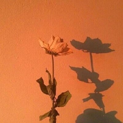 Daniell·Ganさんのプロフィール画像
