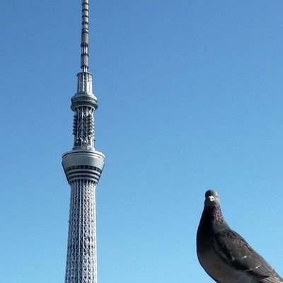 ひよこからにわとりへ……
絵を描いたりスクショあげたり。イラストの無断使用は禁止です。スケブ→https://t.co/ci7LtR9MMI