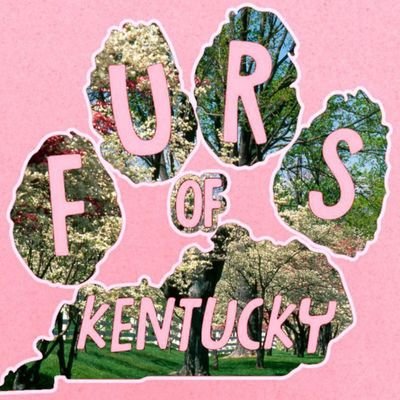 Twitter/X account for the Kentucky Furs community.