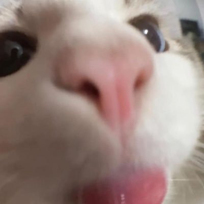 wIMVsGOTHWn9dC1's profile picture. 