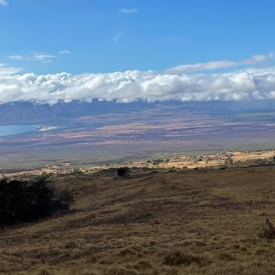 HetherzG's profile picture. 