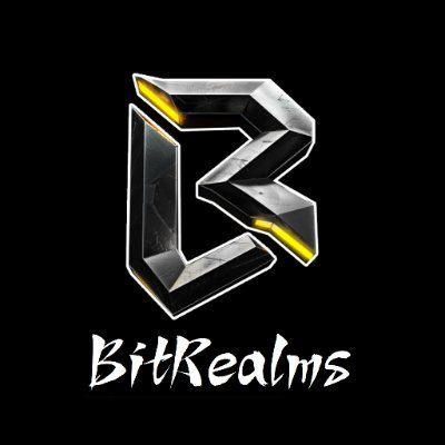 BitRealms Profile