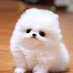 러뷰 (@leobyu7) Twitter profile photo 러뷰 (@leobyu7) Twitter profile photo