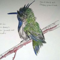Art by Ruth (@artyreg77) 's Twitter Profile