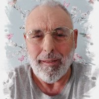 Bernie (@painterley) 's Twitter Profile Photo Bernie (@painterley) 's Twitter Profile Photo