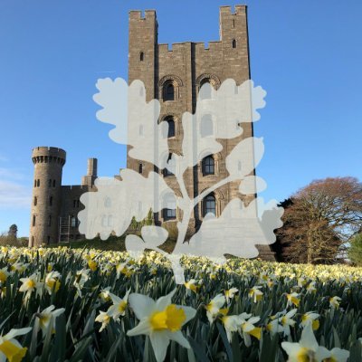 Castell mawreddog a gardd ym Mangor dan ofal @NTCymru_ | Impressive castle and garden cared for by @NTCymru_.