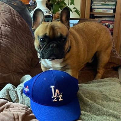 Hardcore Dodger fan 68 years. French Bulldogs are the best.