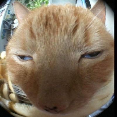 Carrot Soupさんのプロフィール画像