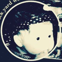 No name (@backyardwhiz) 's Twitter Profile