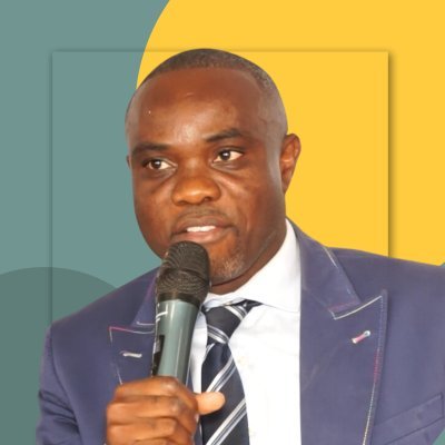 Avocat,Député National 2023,Conseiller du Chef de l'État 2018-2023, FD/UDPS (2008/19),Interfederal de l'UDPS Grand Kivu-Katanga (2020 à nos jours).