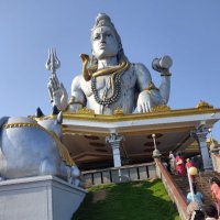 Manjunath (@manjunath_242) 's Twitter Profile