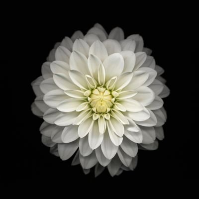 samikun51's profile picture. I just want to be better.