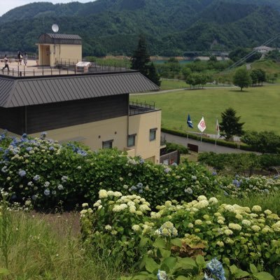 F_Bollenbach's profile picture. 