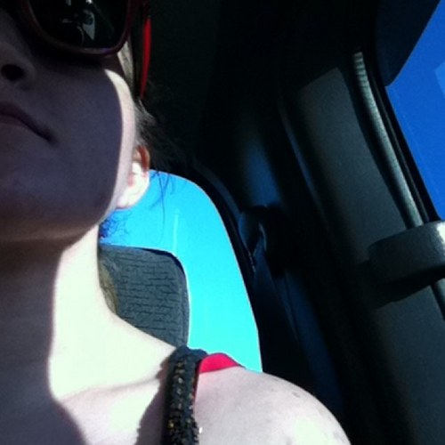 mmlautt's profile picture. bewildered by bees, trees, and many a map. they/shrug emoji.