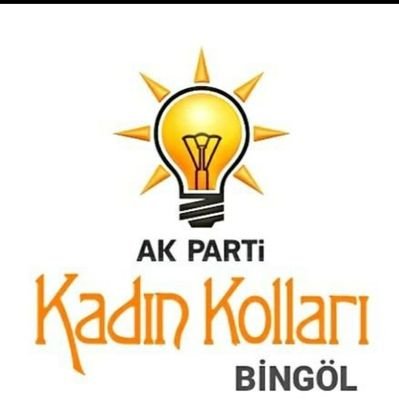 AK Parti Kadın Kolları Bingöl İl Başkanlığı