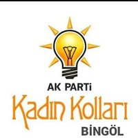 AK Kadın Bingöl(@Bingol_Akkadin) 's Twitter Profile Photo