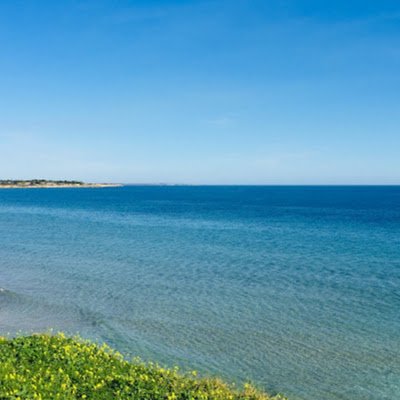 gnica55's profile picture. 