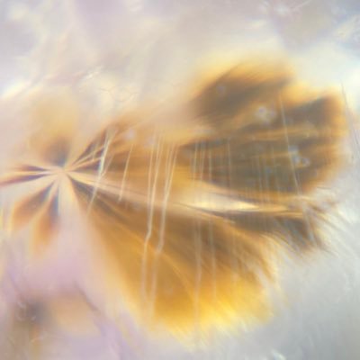 Xenotime2005's profile picture. Quartz Collector Love Rabbits 水晶（鉱物）集めてます。うさぎってかわいいよね… 魚類なども好きです。 宜しくお願い致します！