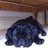 JobeWatson's profile image