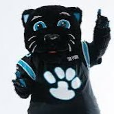 pantherhitstick's profile picture. hitstick madden league