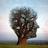 marc_rousseau's profile image