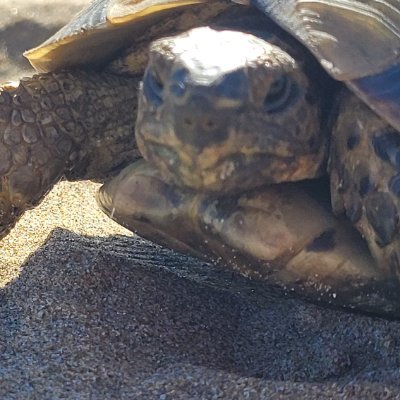 YaSSine7774's profile picture. 