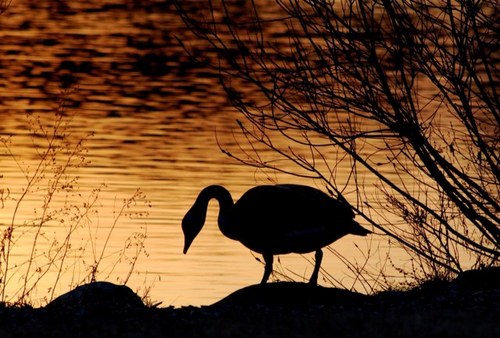 rrr7462rrr's profile picture. 