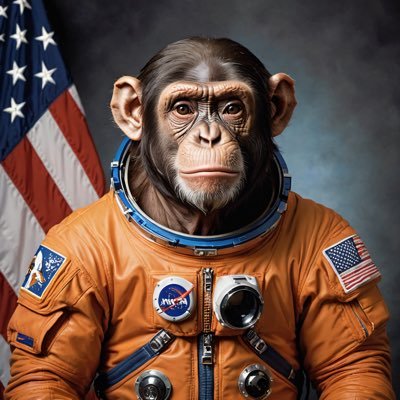 Budget_Chimp's profile picture. Your friendly Chimp since 2017 "Max everything you buy" - BudgetChimp