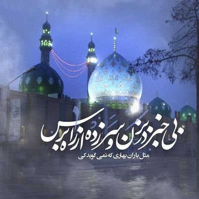 kardgar_parsa's profile picture. 315🤍
🇮🇷