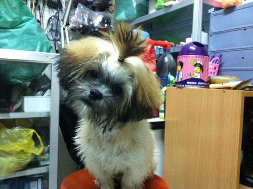 Pin18Pin's profile picture. 