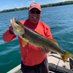 Garry Hull (@garryhull4) Twitter profile photo Garry Hull (@garryhull4) Twitter profile photo