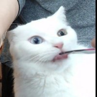 XS 101 (@baeggongdae1) 's Twitter Profile