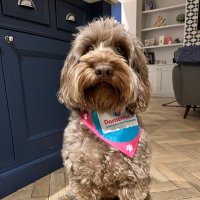 Amanda Crowley (@_amandac_1) 's Twitter Profile