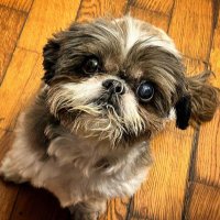 Jerry Terver (@jerryhush47) 's Twitter Profile Photo