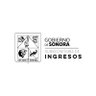 SubseIngresos's profile picture. Cuenta oficial de la Subsecretaría de Ingresos de la Secretaría de Hacienda, Gobierno del Estado de Sonora 2021 - 2027