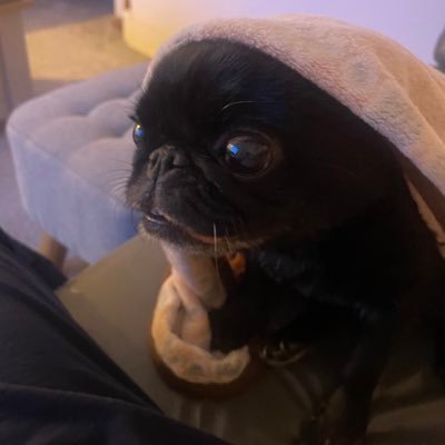 manhasnot's profile picture. 