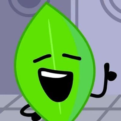 i like leafy bfdi a normal amount / 17 she/her / repost ok PROSHIP KYS eng/jp / retweet heavy