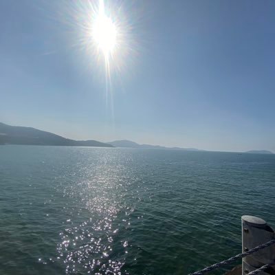 qml311's profile picture. 