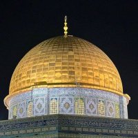 YAHIA..¥🖤 (@yahiamo96275234) 's Twitter Profile Photo