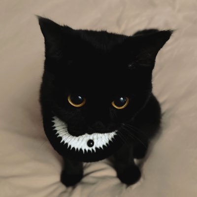 zongzehuang552's profile picture. 