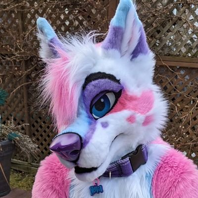 🔞 AD of Nova |Fursuiter| 31 🏳️🌈 She/Her ♀️ Sapphic | 18+ Requests only🔞 minors and zoos get blocked