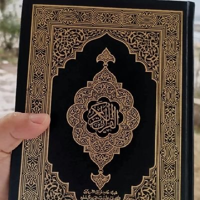 AminWalat35024's profile picture. God`s revange has no voice توڵا خودێ دەنگ نییە