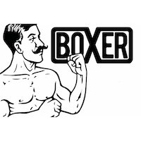 Ginger Industries Boxer(@GingerBoxerMod) 's Twitter Profile Photo